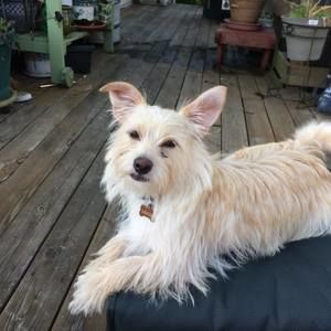 Meet your Posher, Pat